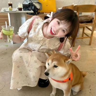 打骗行动之你被盯上了